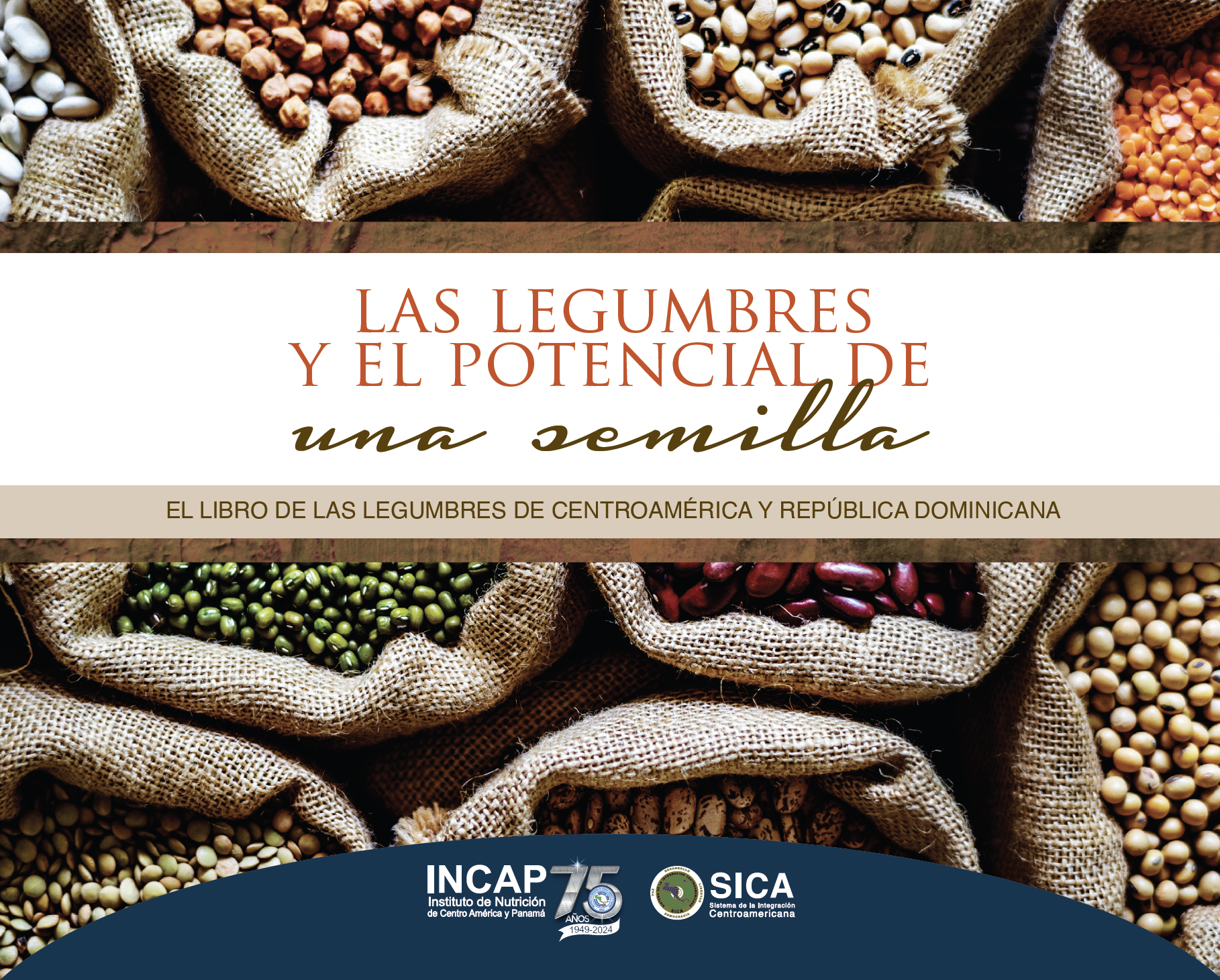 Las legumbres y el potencial de una semilla